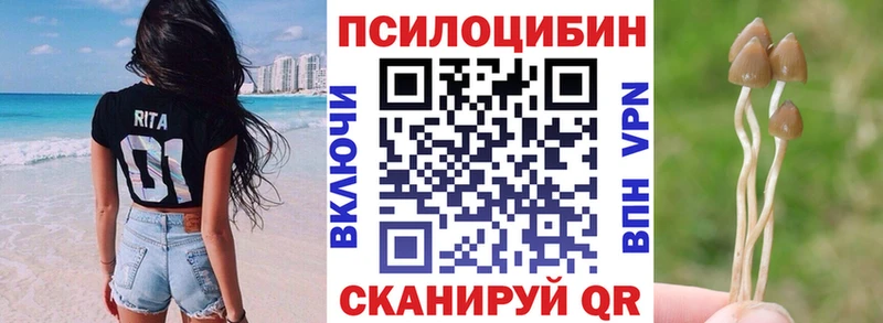 Галлюциногенные грибы Magic Shrooms  Купить  Карасук 